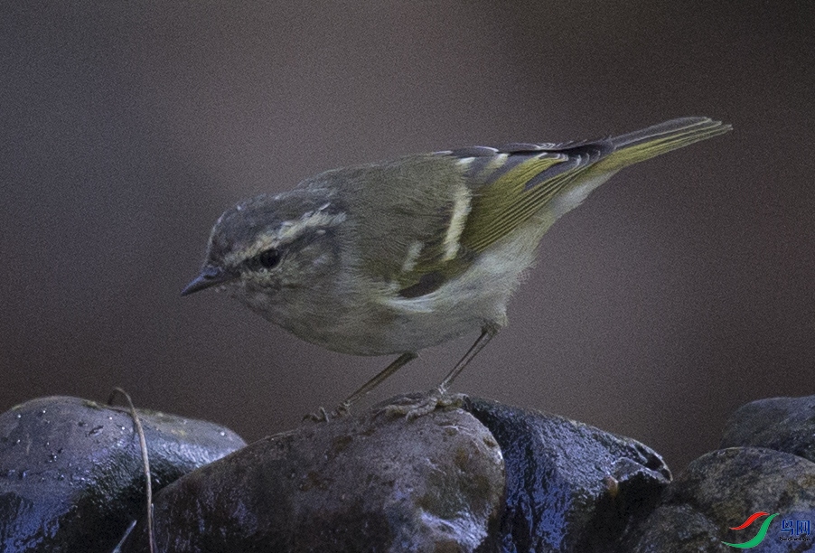 CS3U8475.jpg