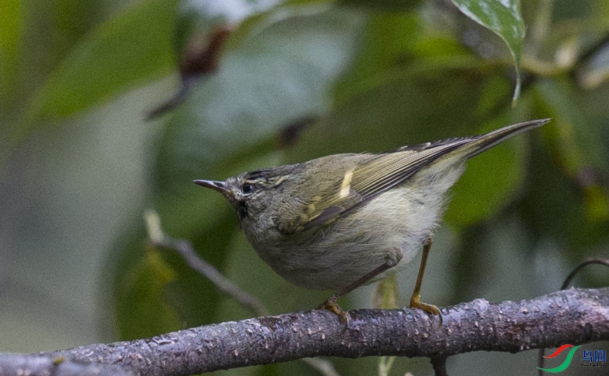 CS3U0655.jpg