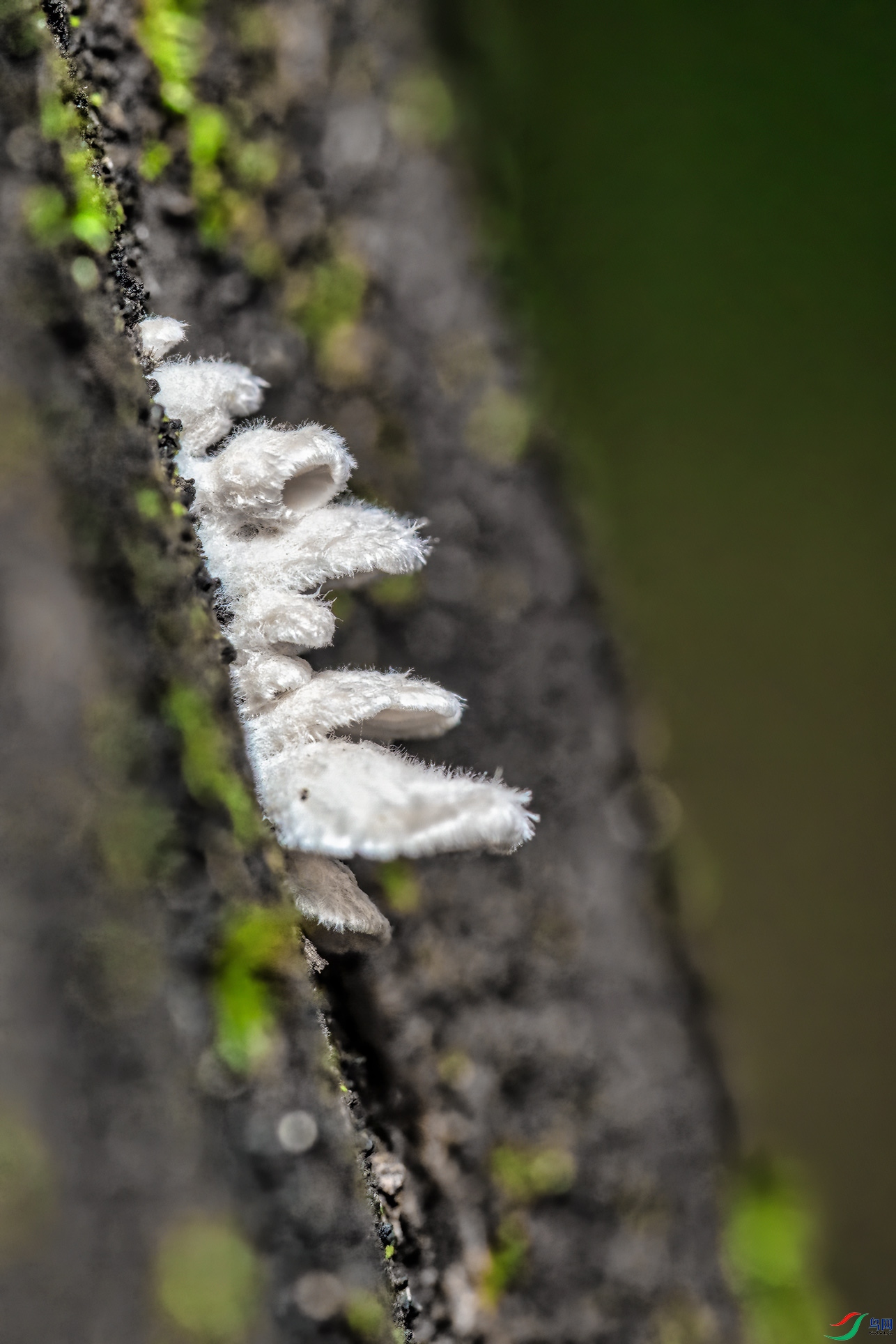 DSC_7589-1.jpg