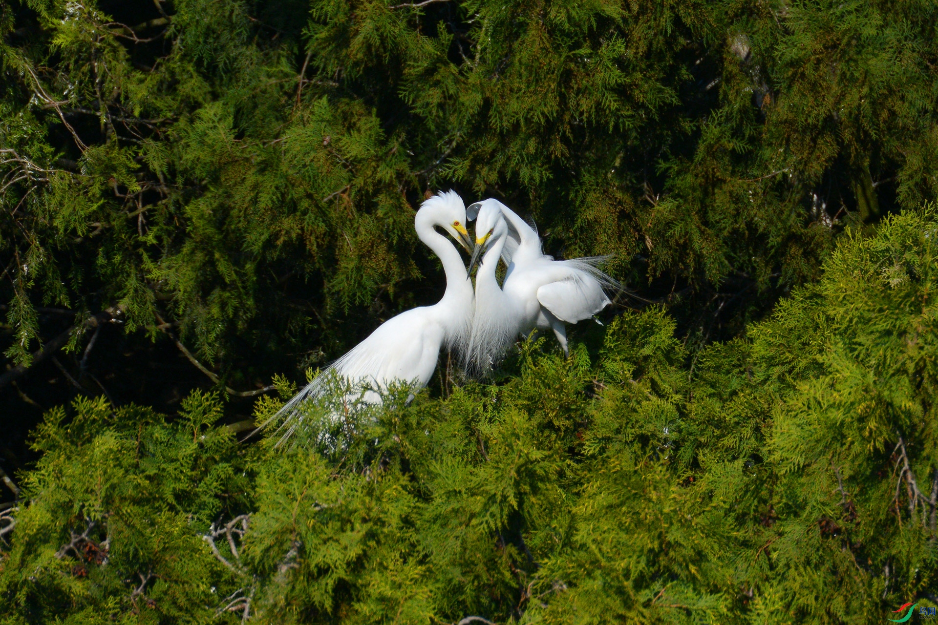DSC_5576==1w.jpg