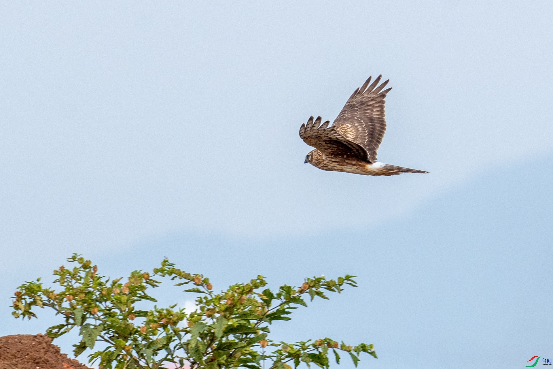 DSC_3289.jpg