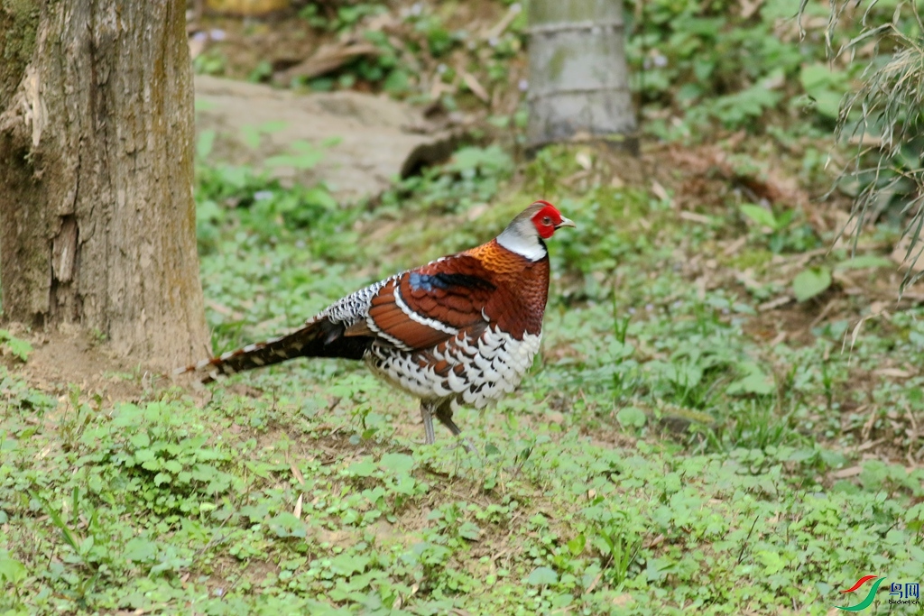367A9039_����.jpg