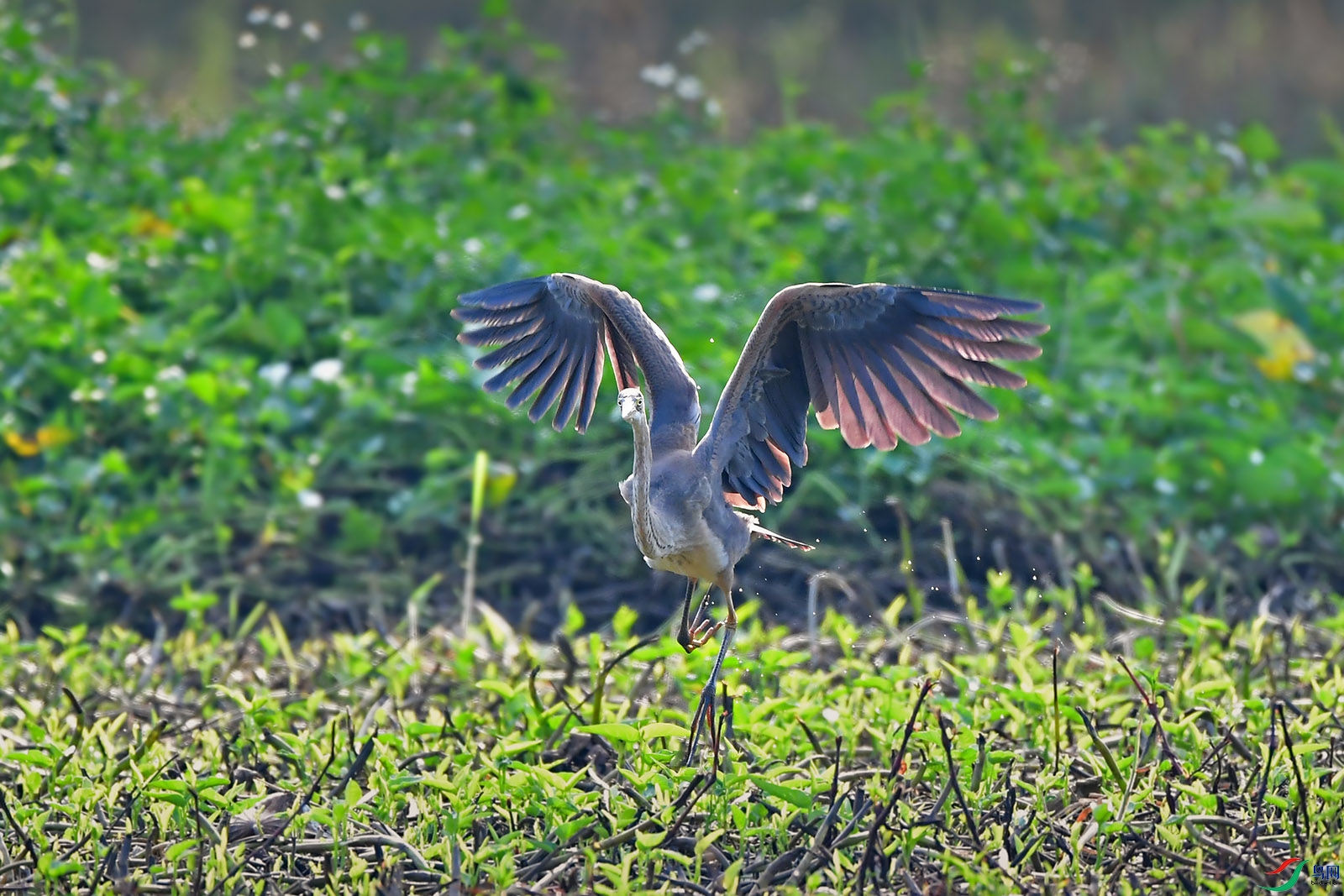 DSC_4259.jpg