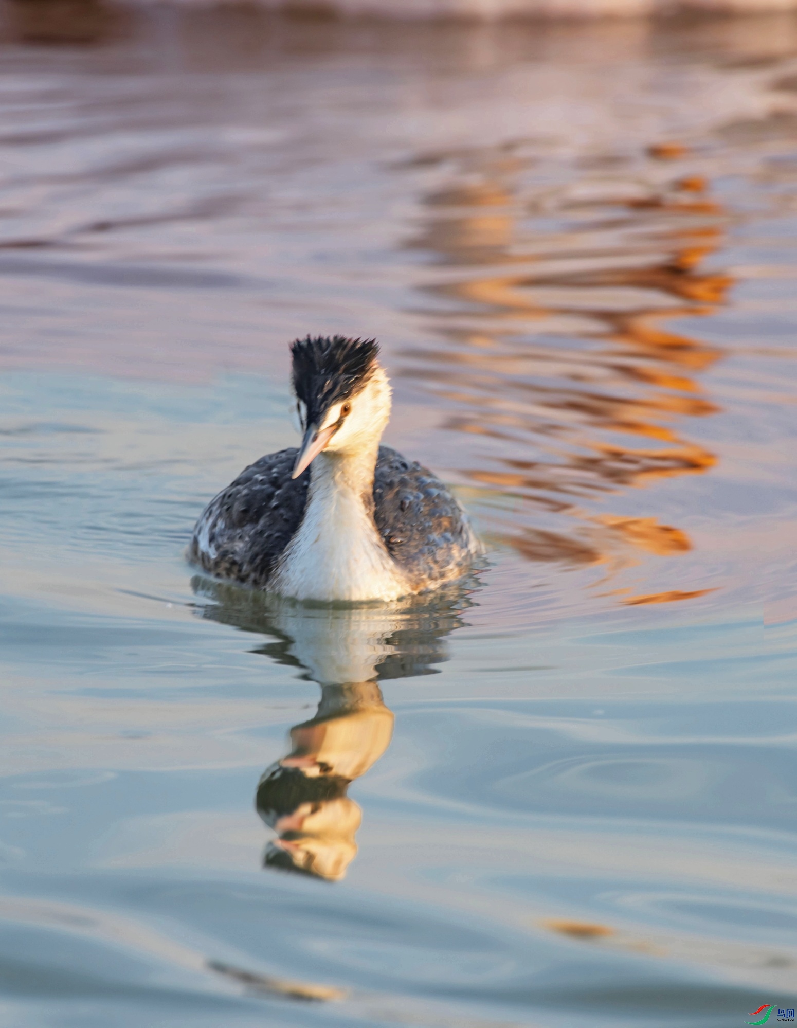 DSC_0224---_conew1.jpg