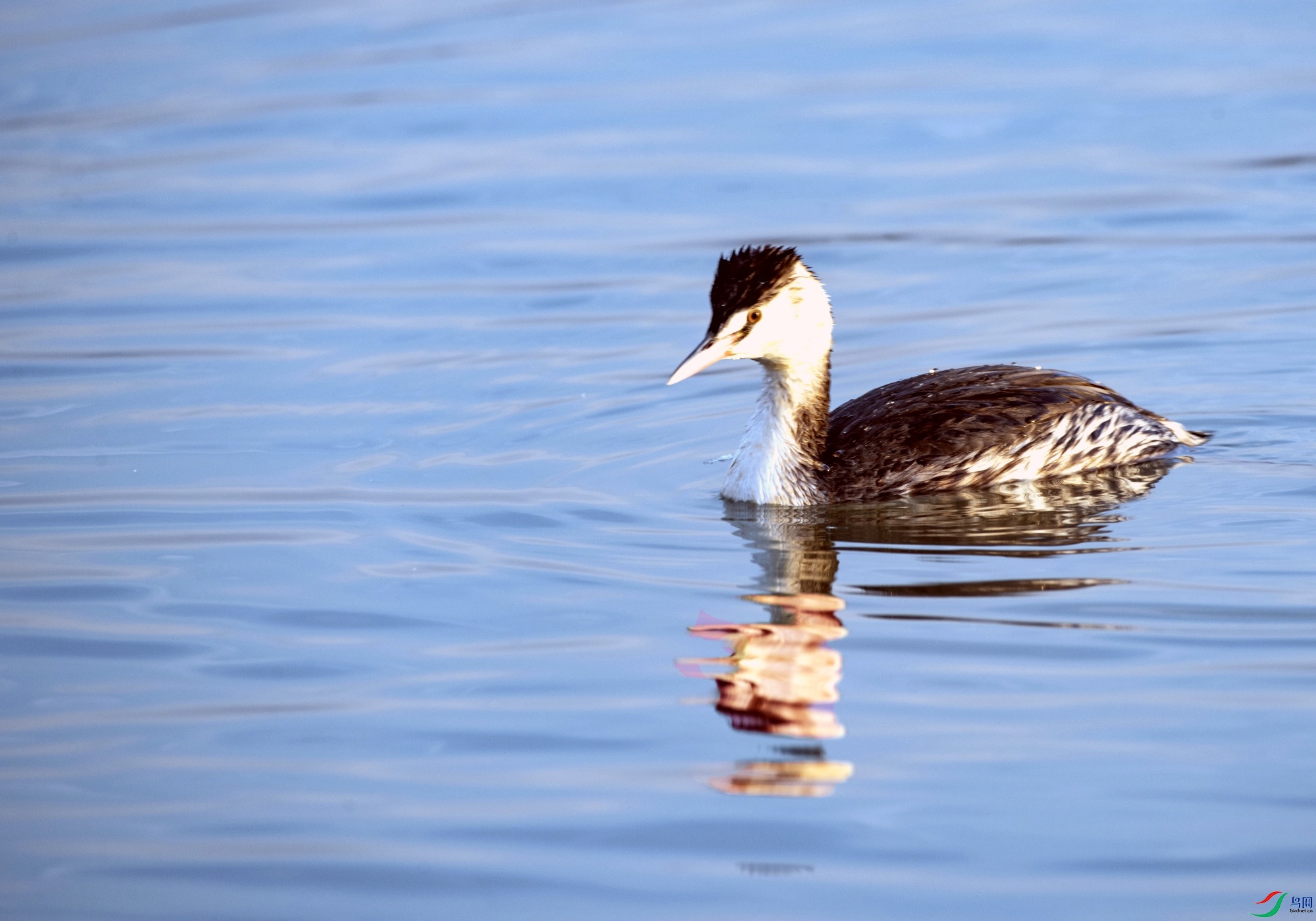DSC_0217---_conew1.jpg