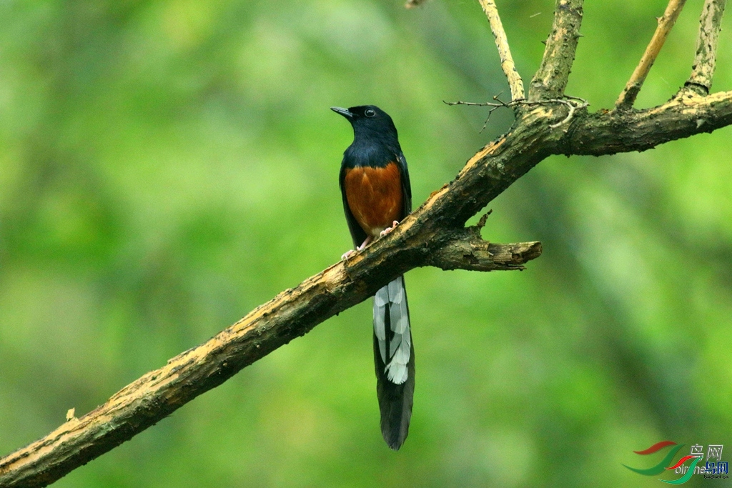 ���ݺ���  ��ʦ�����ڸ���ʡ������.jpg