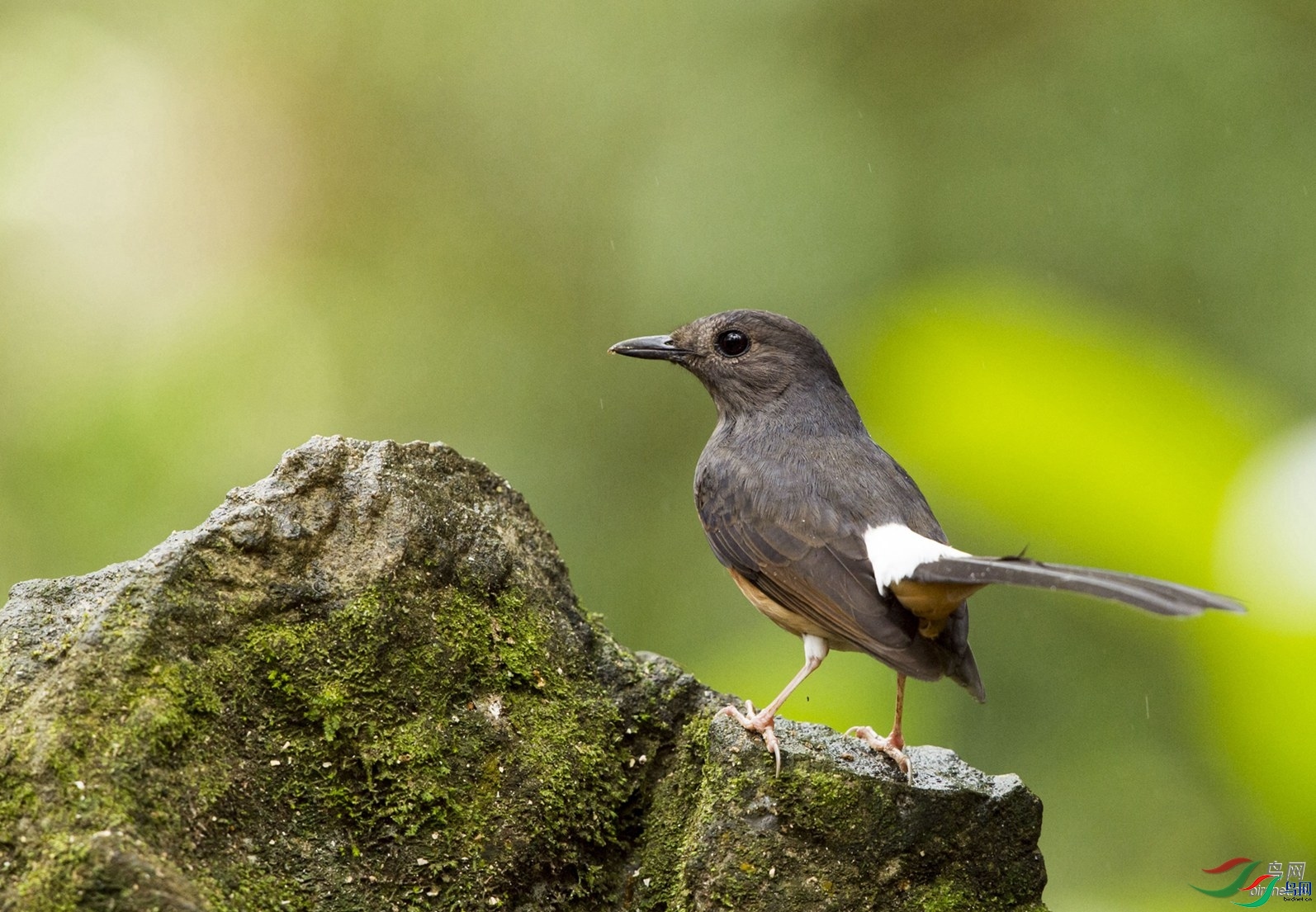 ֱ����  ��ʦ�����ڹ���׳��������������.jpg