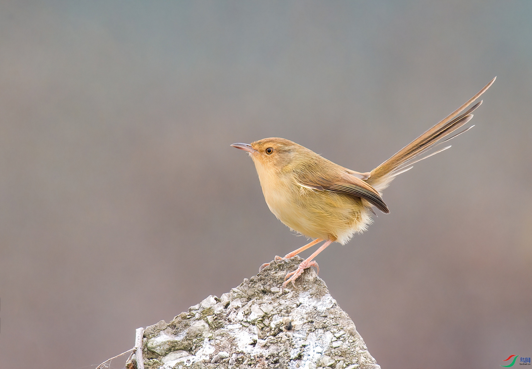 _DSC9146 ����.jpg