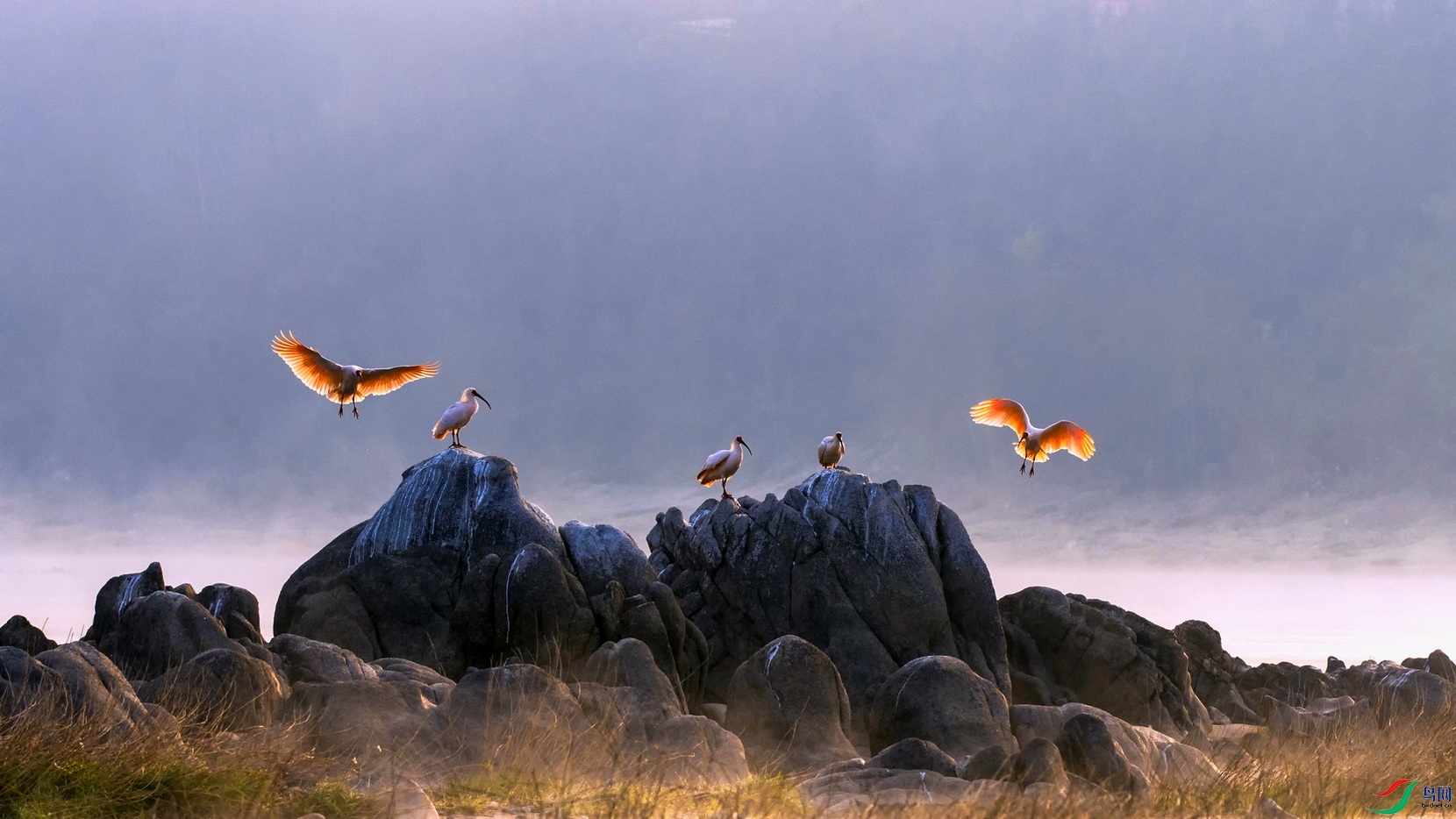 _DSC4755 ����f03.jpg