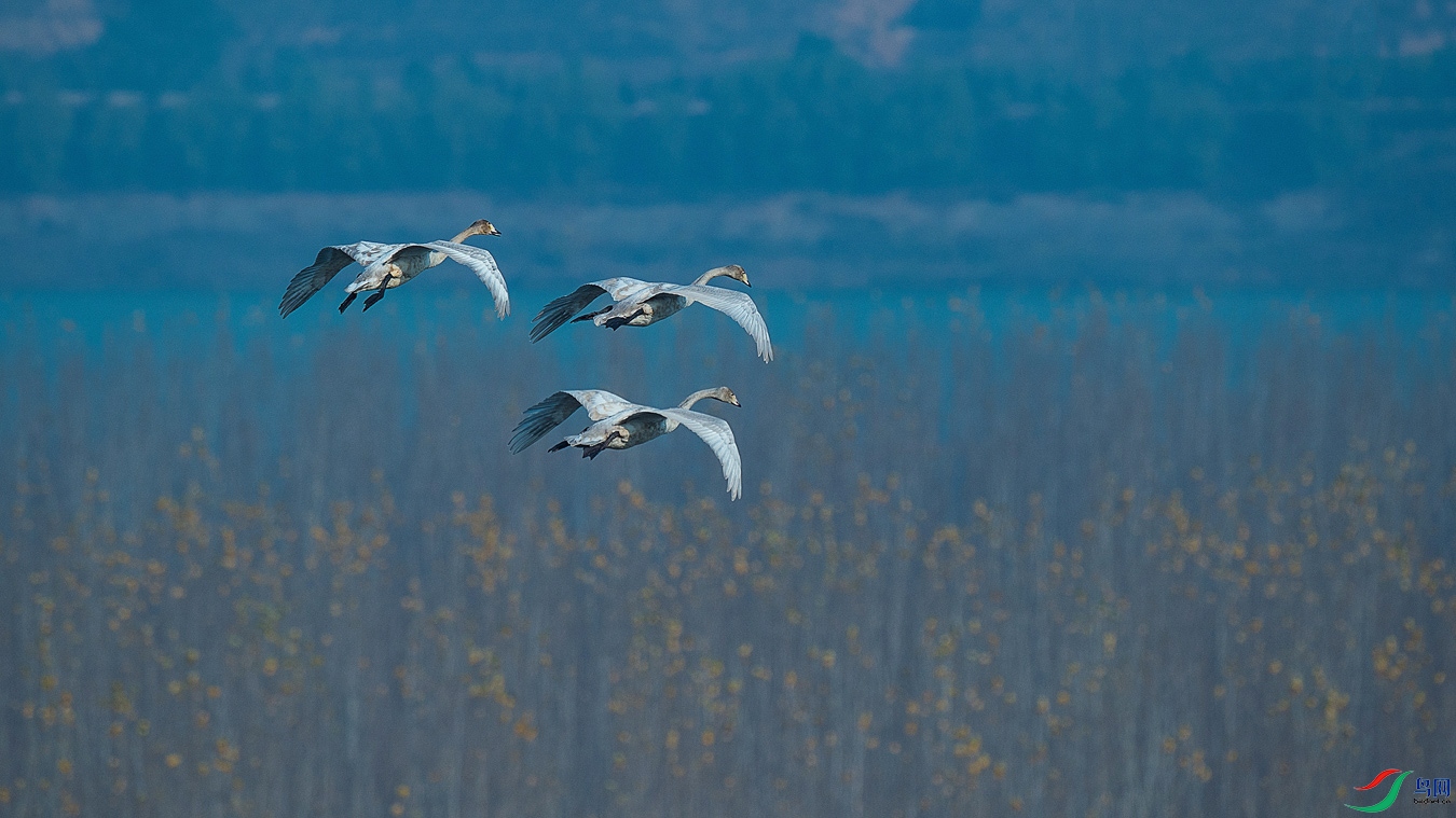 XCG_5984 - ���� (2).jpg