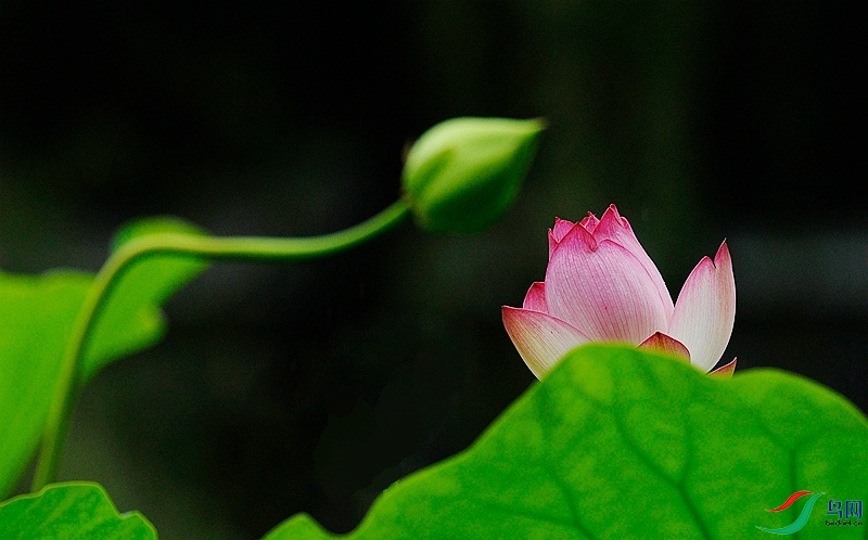 _DSC0190.JPG
