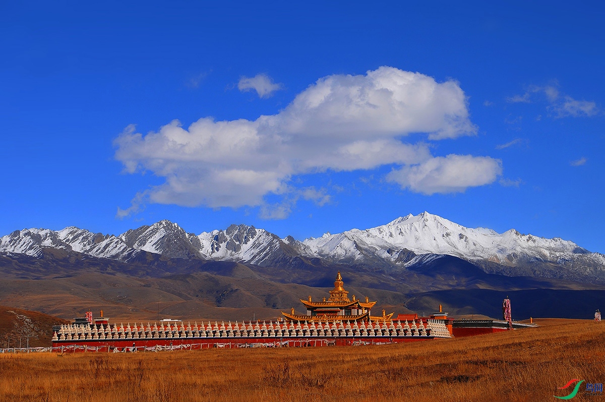 DSC_0449_ - ����.jpg