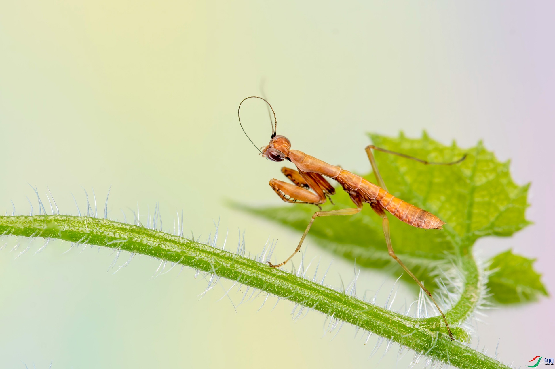 DSC_6048-1.jpg