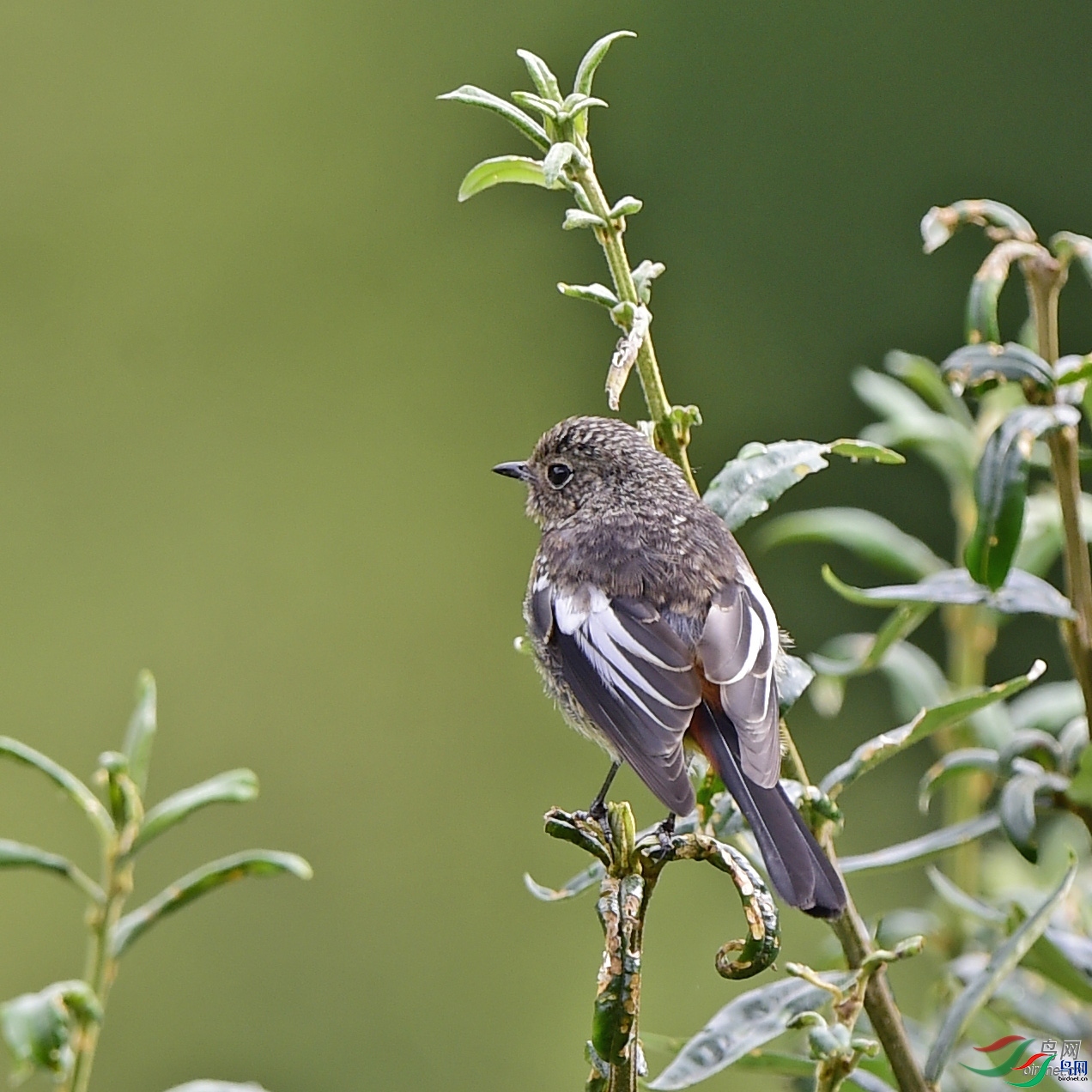 ����ӭ��  ��ʦ�������Ĵ�ʡ���β��������ݿ�����.jpg