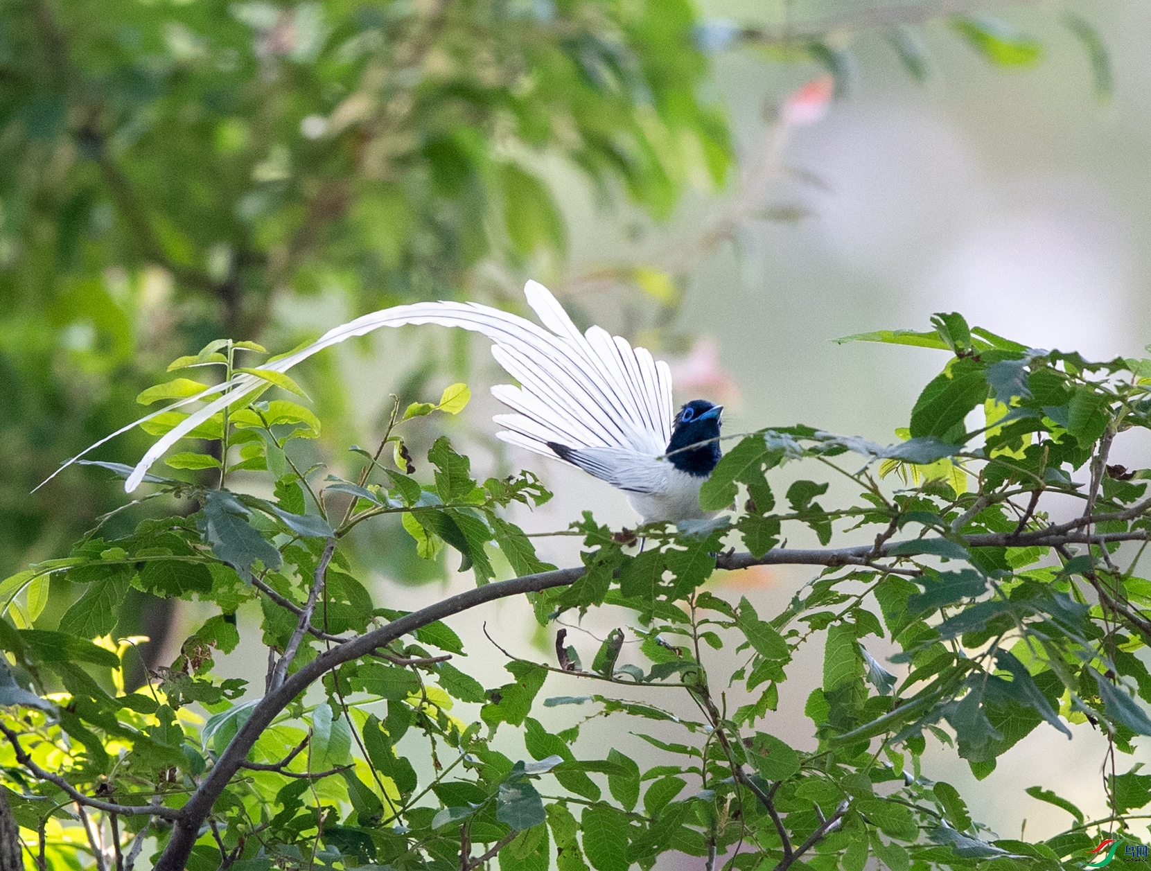 DSC_4167f.jpg