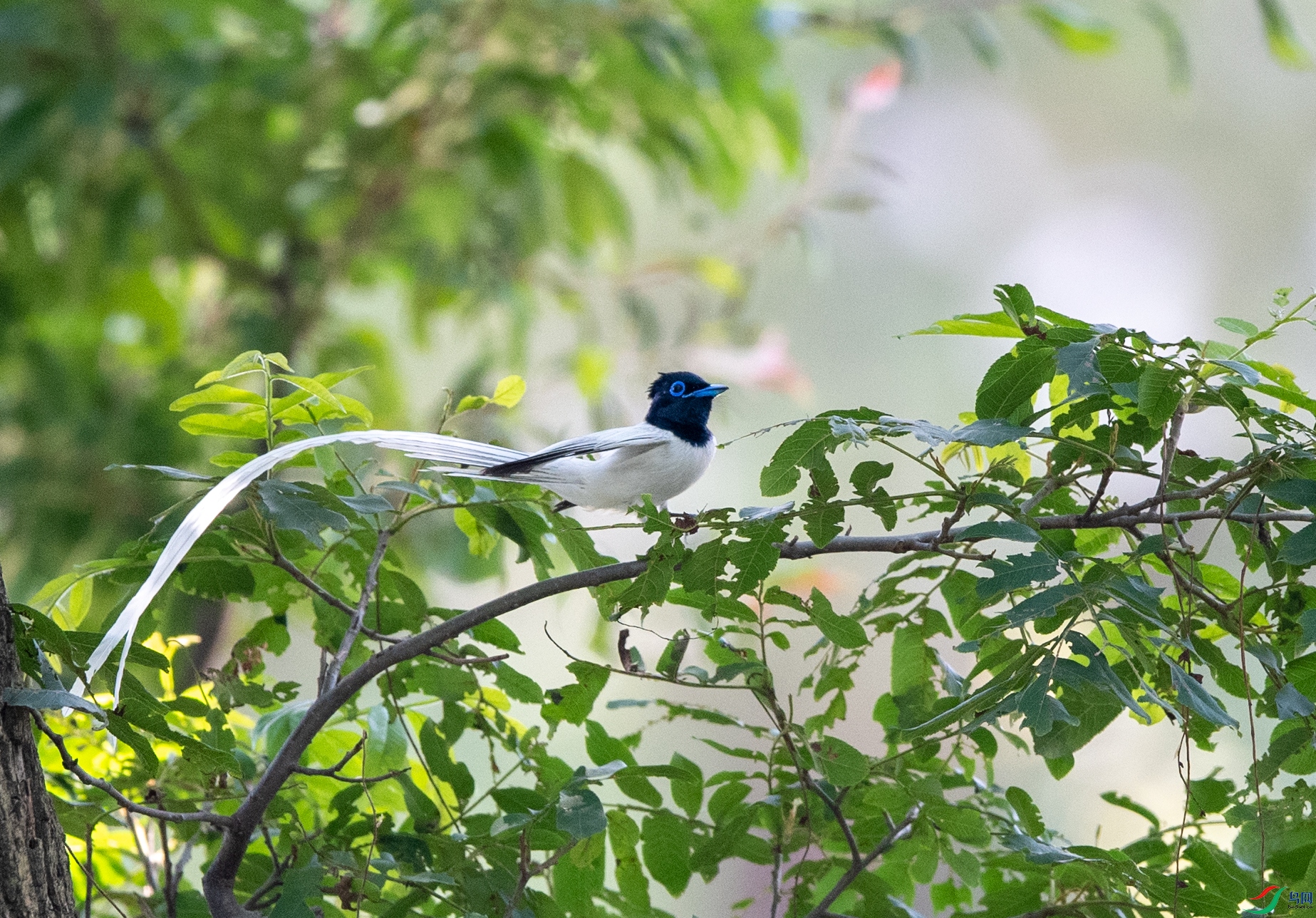 DSC_4165f.jpg