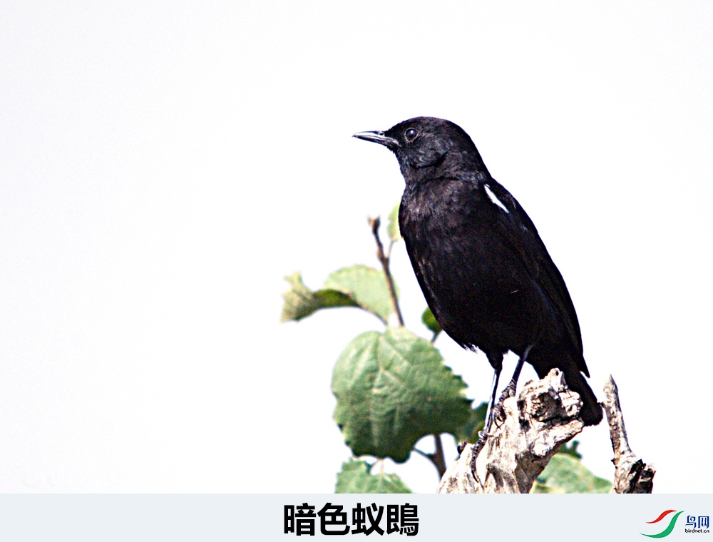 DSC_5579.jpg