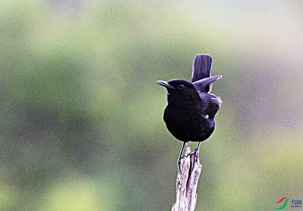 DSC_6014.jpg