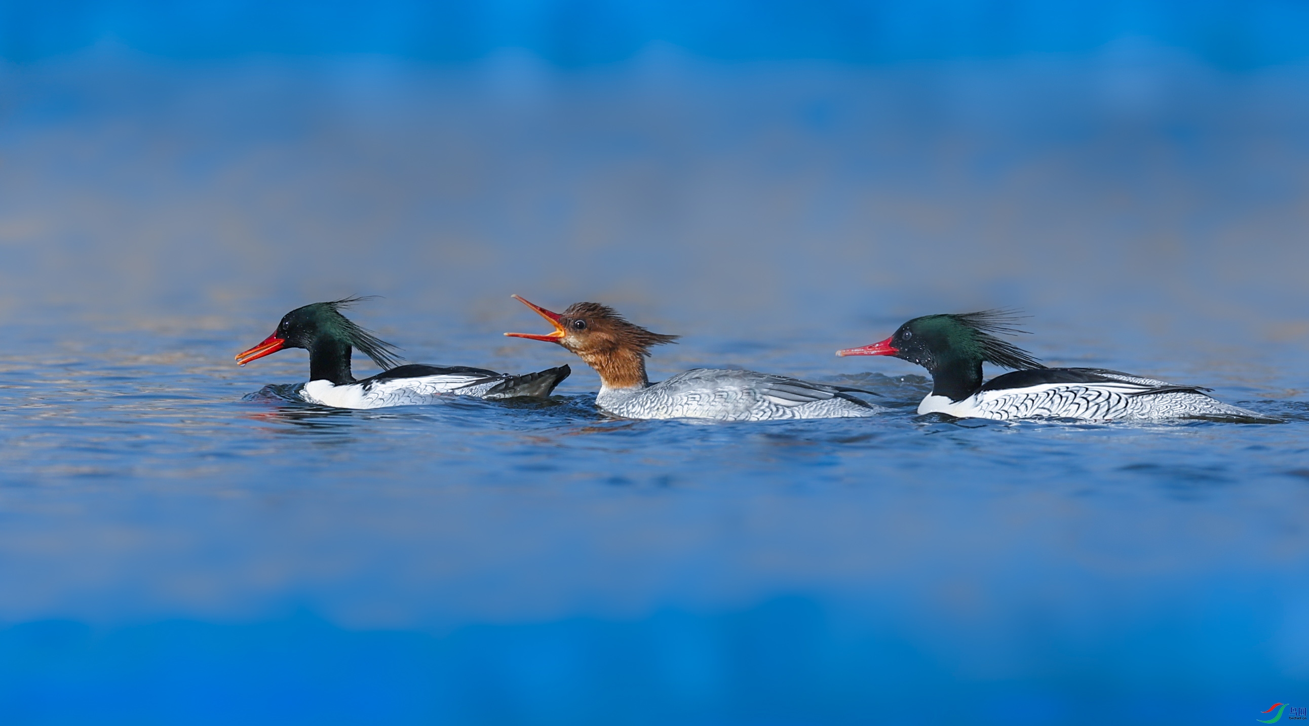 ľ��083A6067.jpg