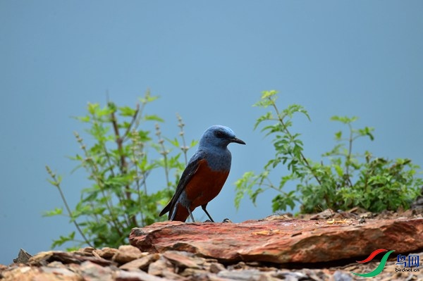 File0000051219.jpg