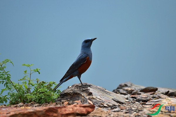 File0000051225.jpg