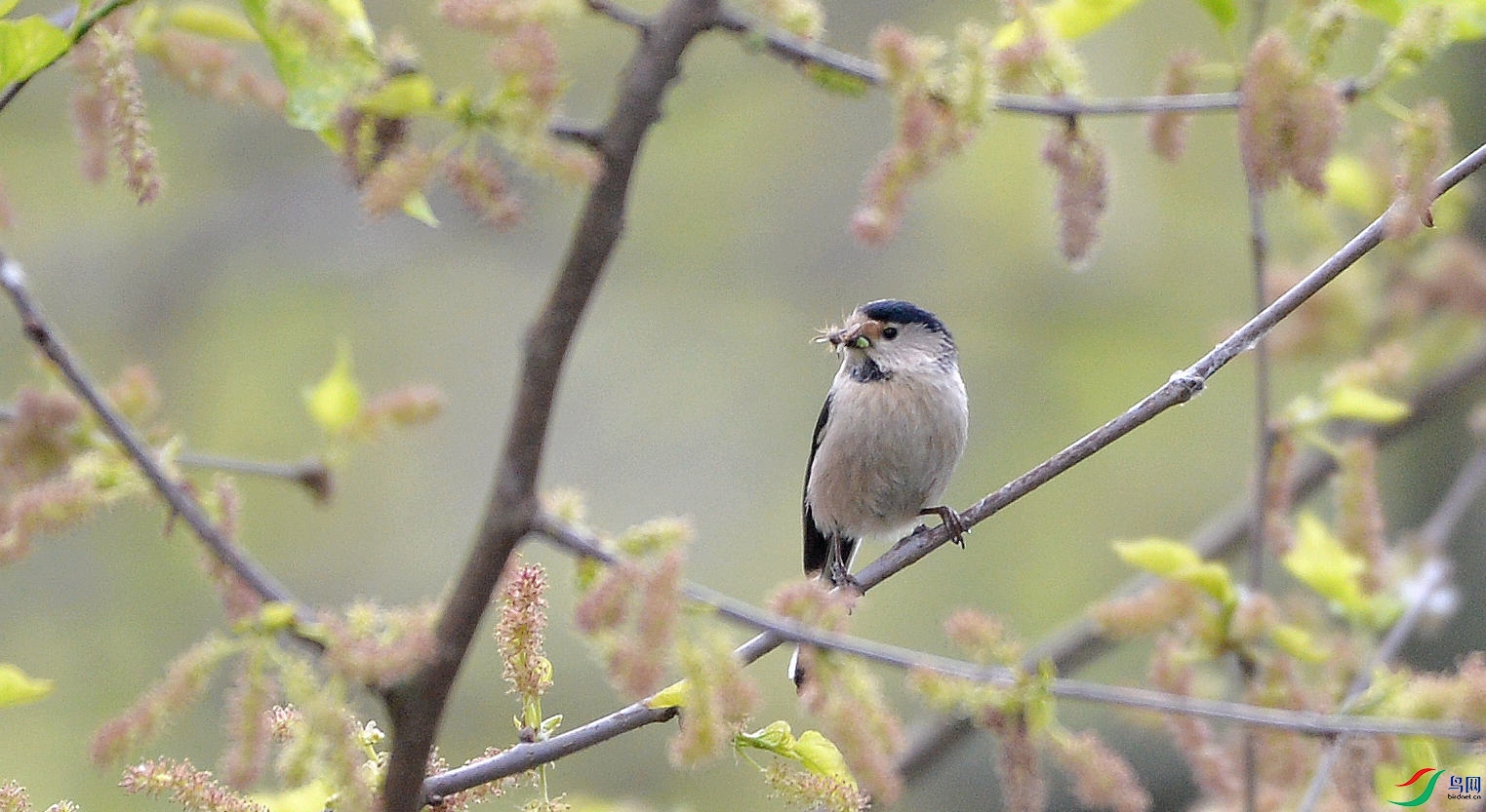 DSC_2039_����.jpg