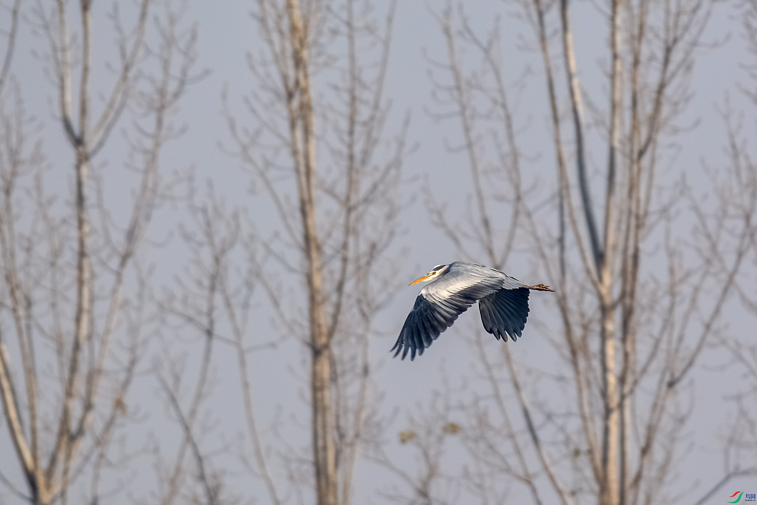 DSC_7755.jpg