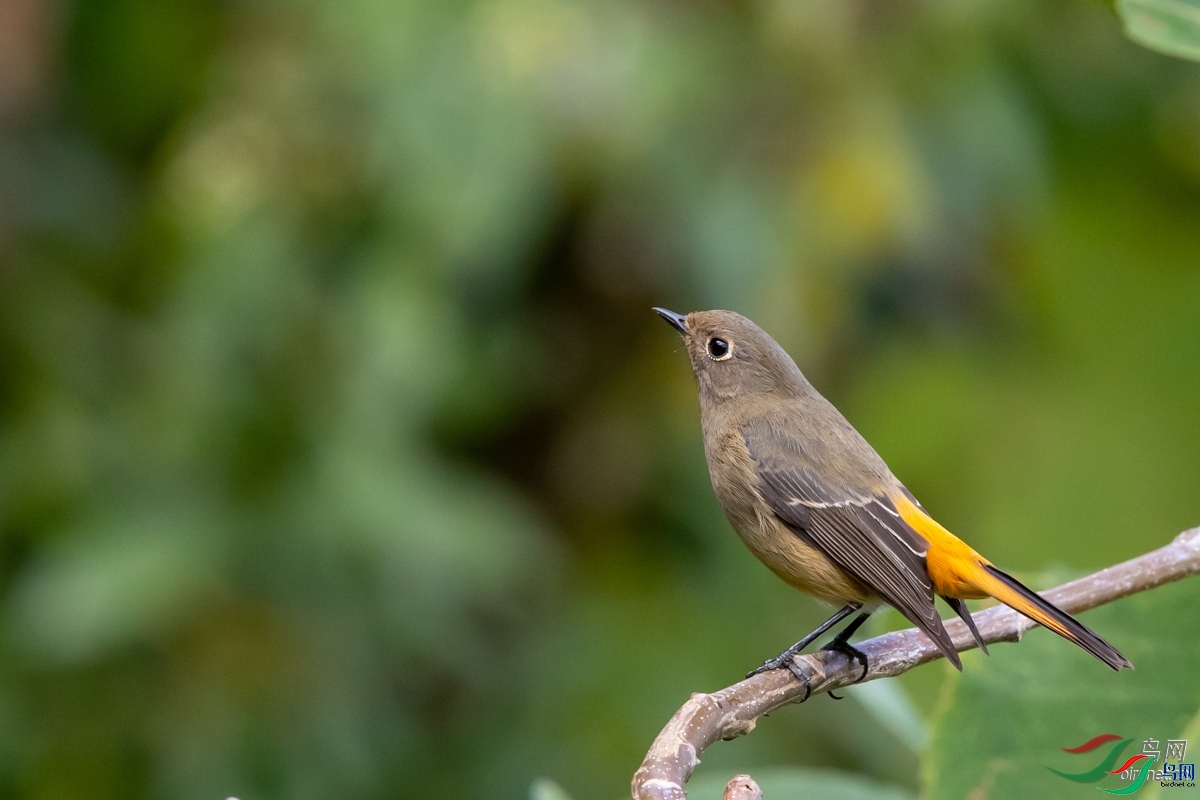 ����  ��ʦ����������ʡ��˫���ɴ���������������.jpg