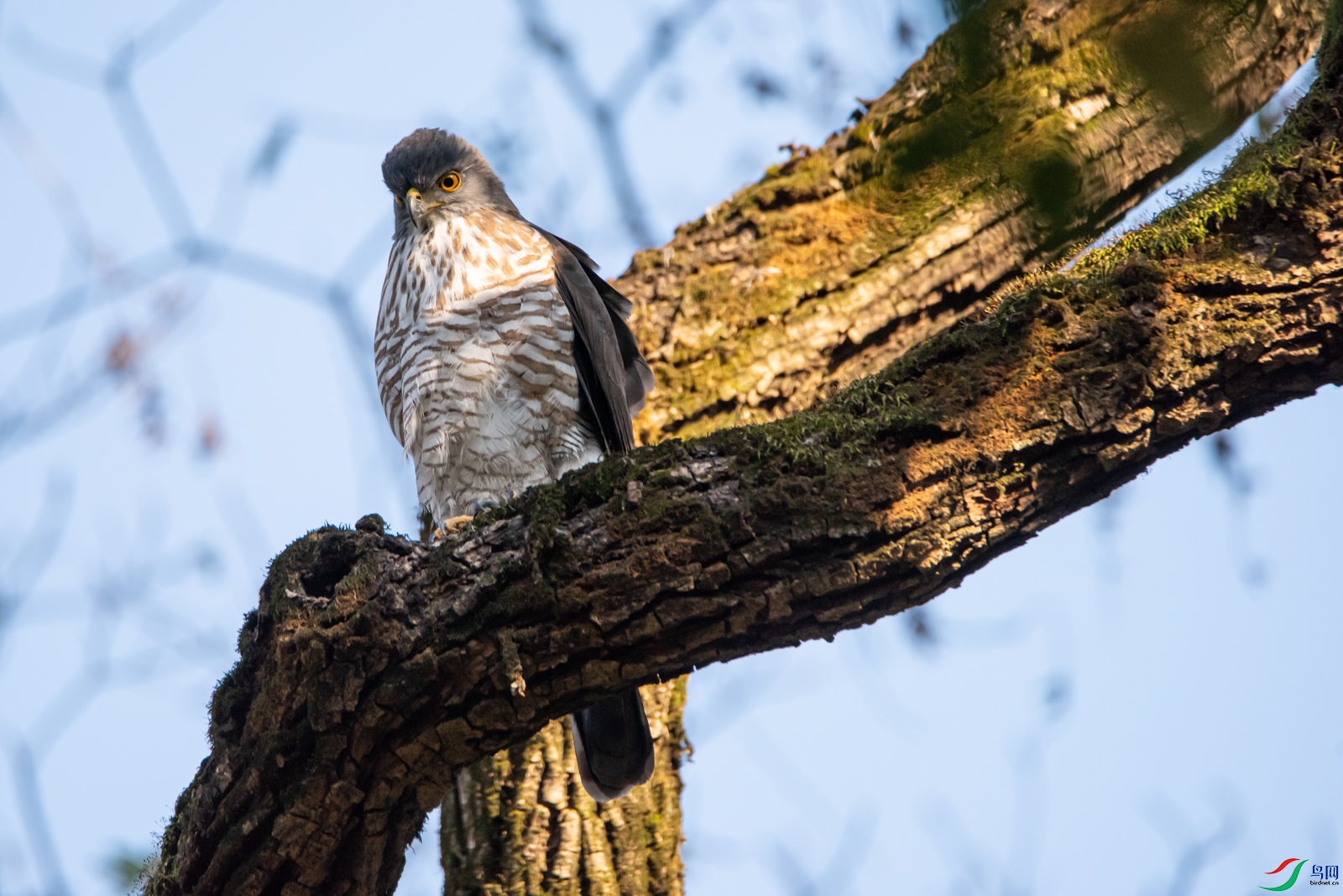 DSC_1698.jpg