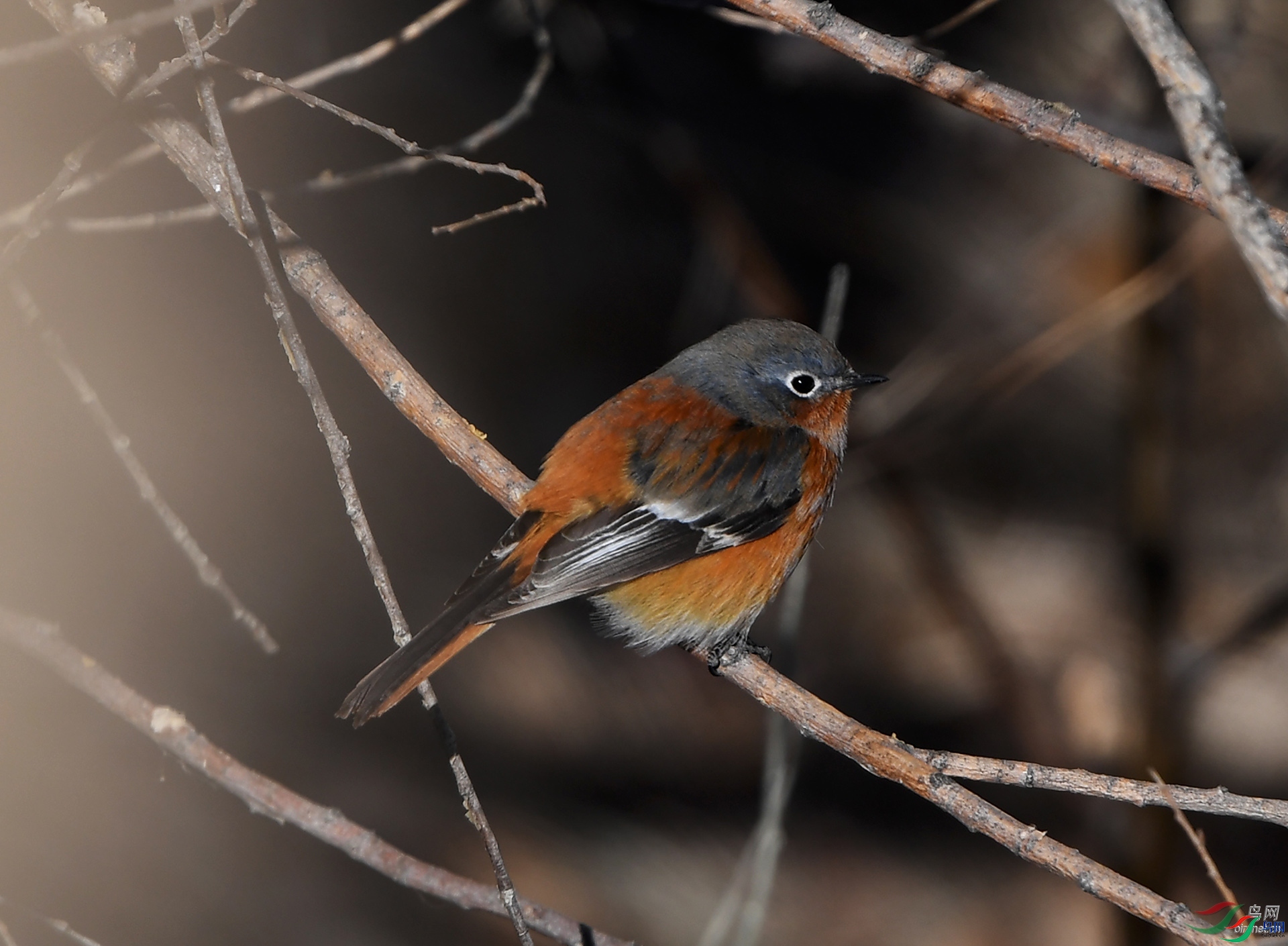 ����ϸ��  ��ʦ���������ɹ������� �������˰���������1.jpg