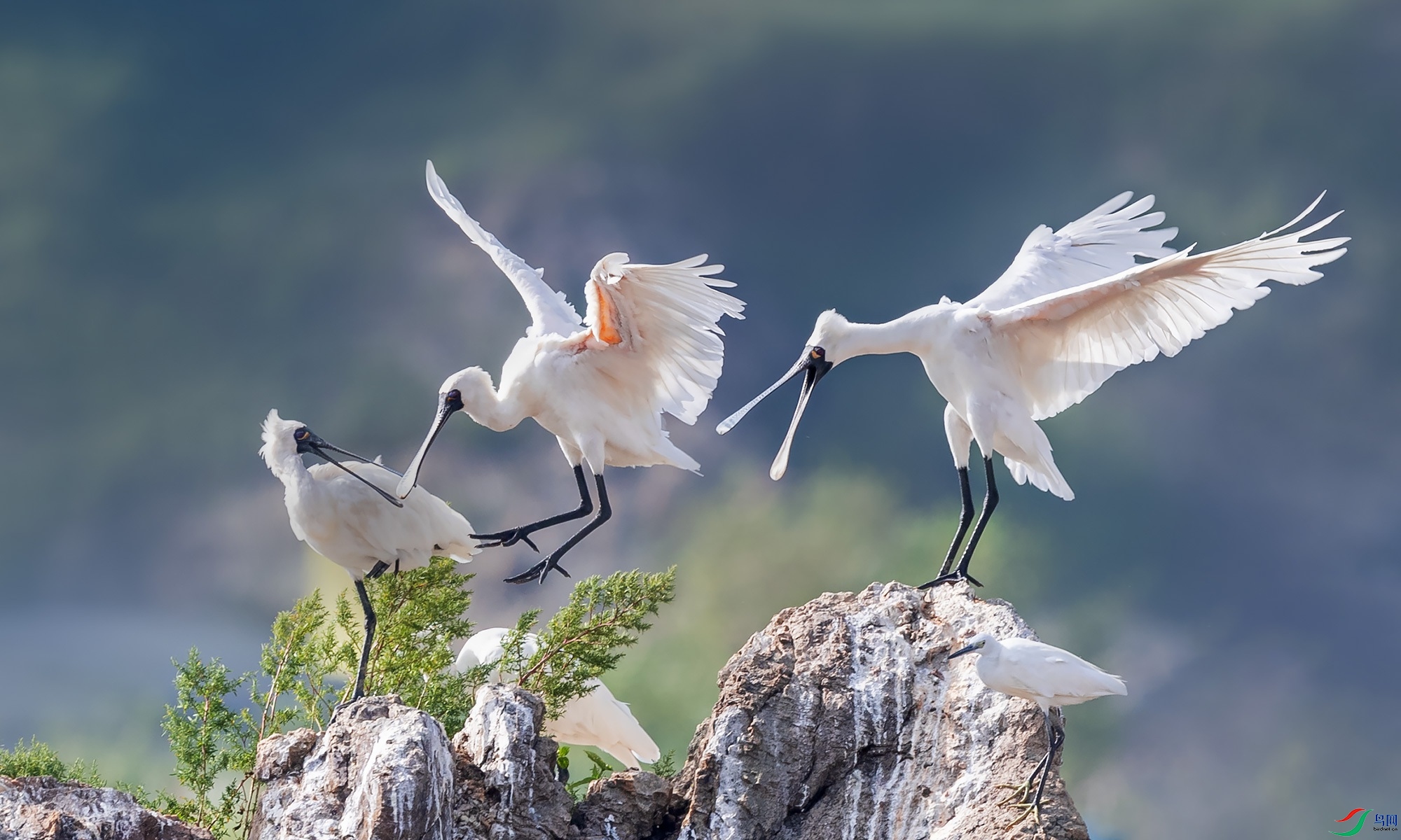 ��������