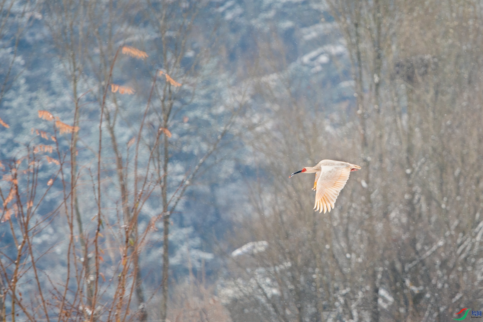 DSC_5339 ����_����.jpg