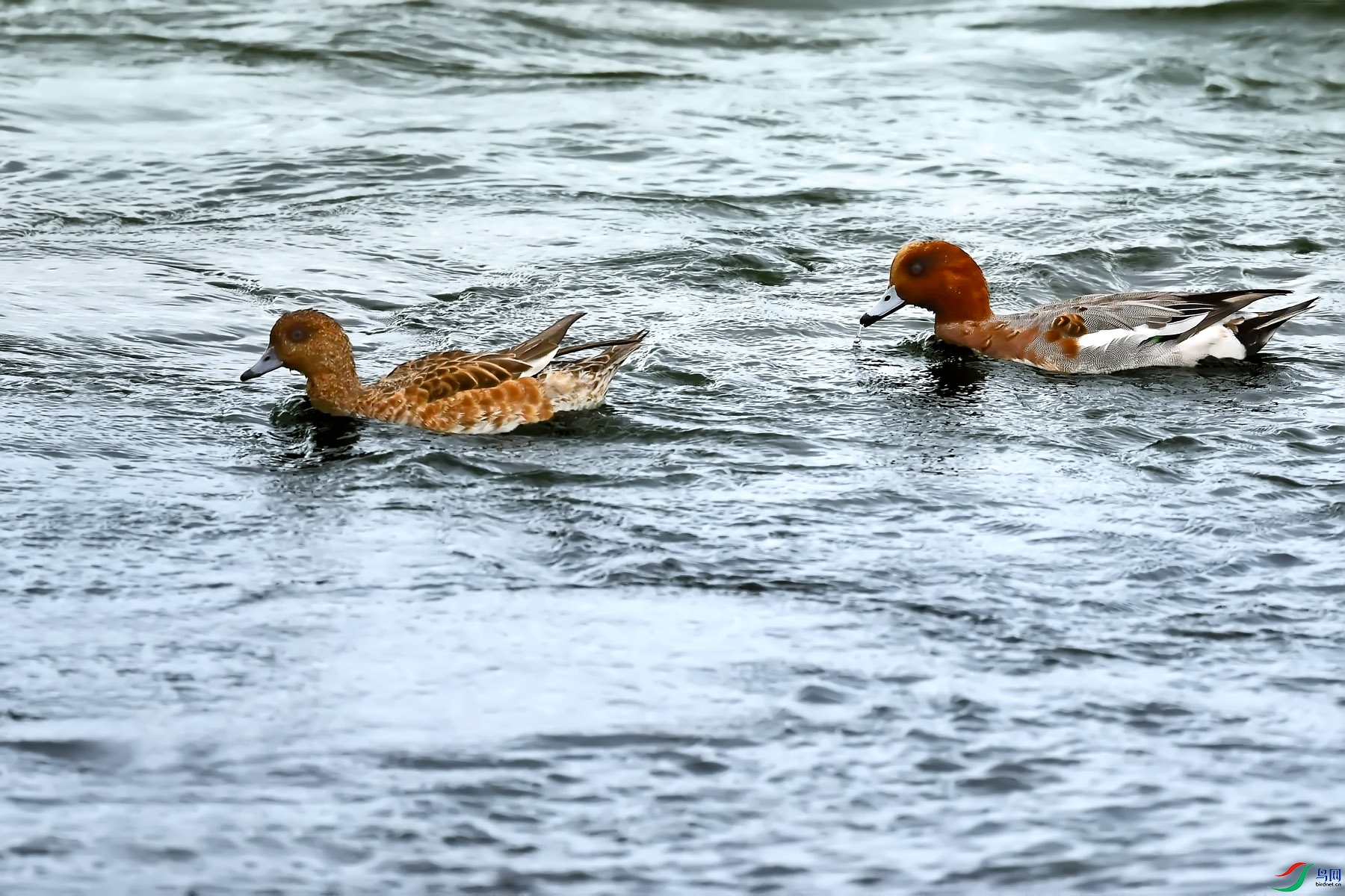 DSC_7889.jpg