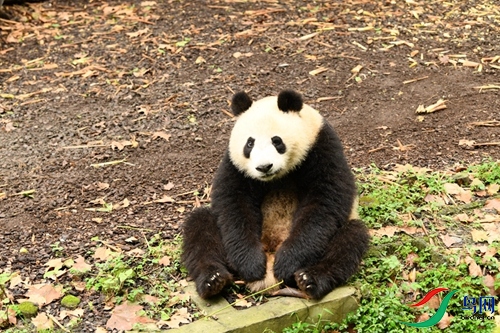 DSC_8664.JPG