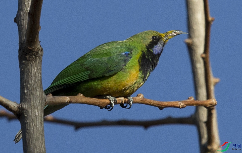 CS3U7834.jpg