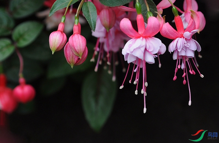 DSC_0845 - ����.JPG