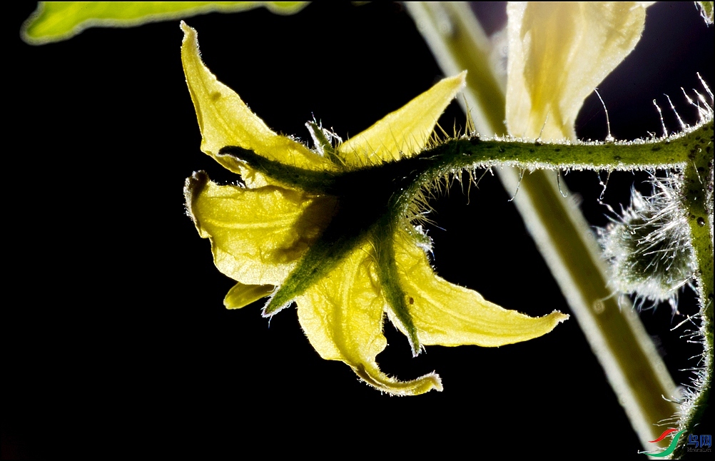 4BK5I2263�˻�3-.jpg