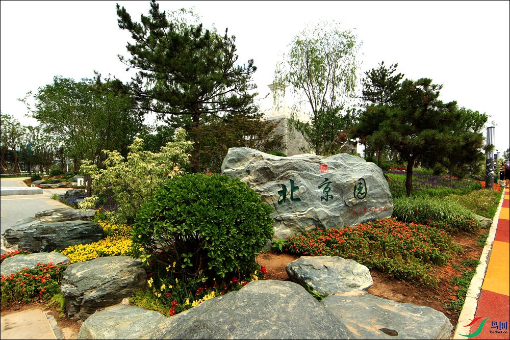 BK5I1014-21.jpg