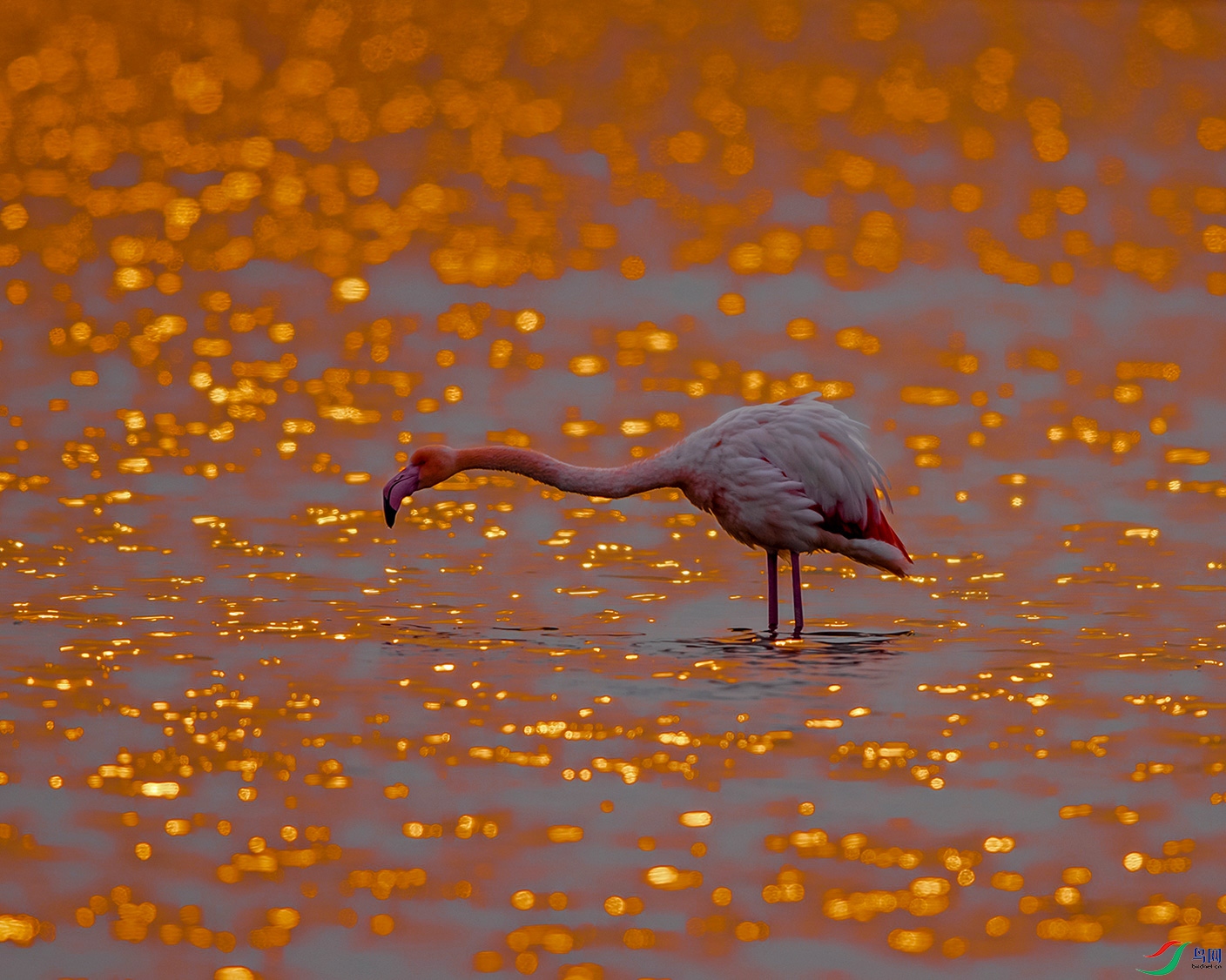 233A6839.jpg