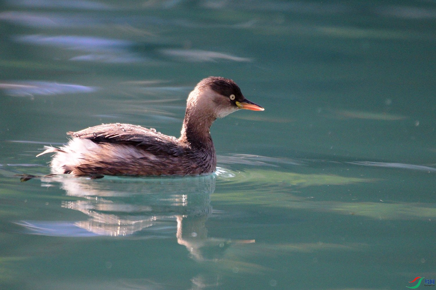 DSC_0758.JPG