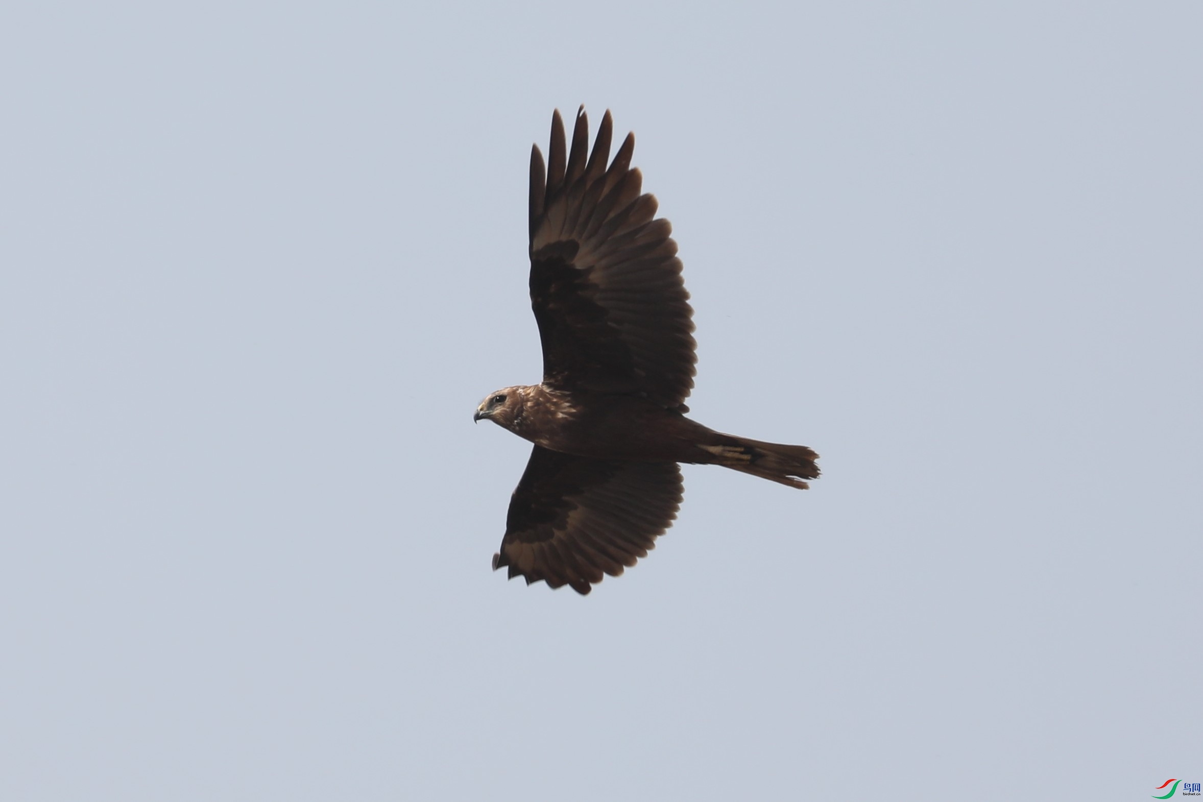 BL7A1350.JPG