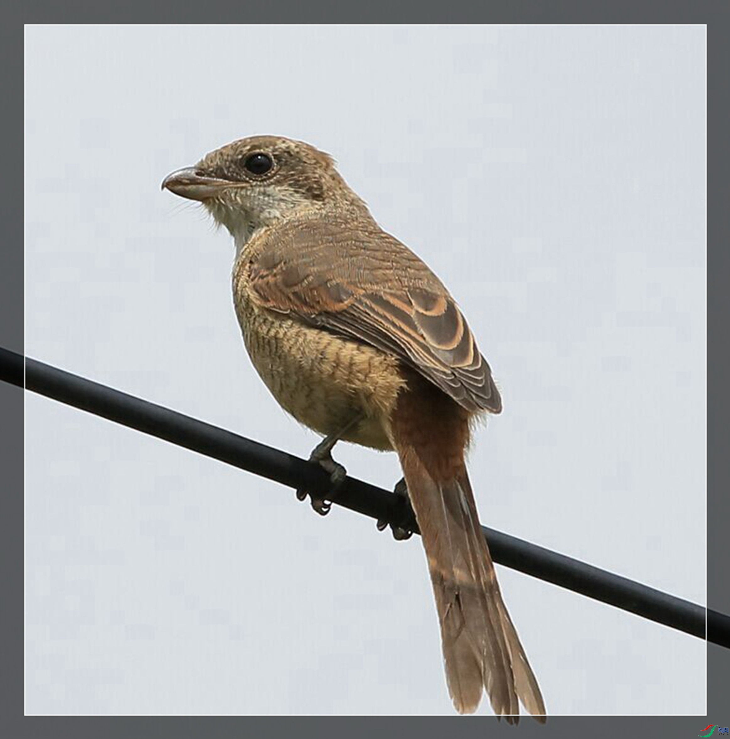 �챳���� .jpg