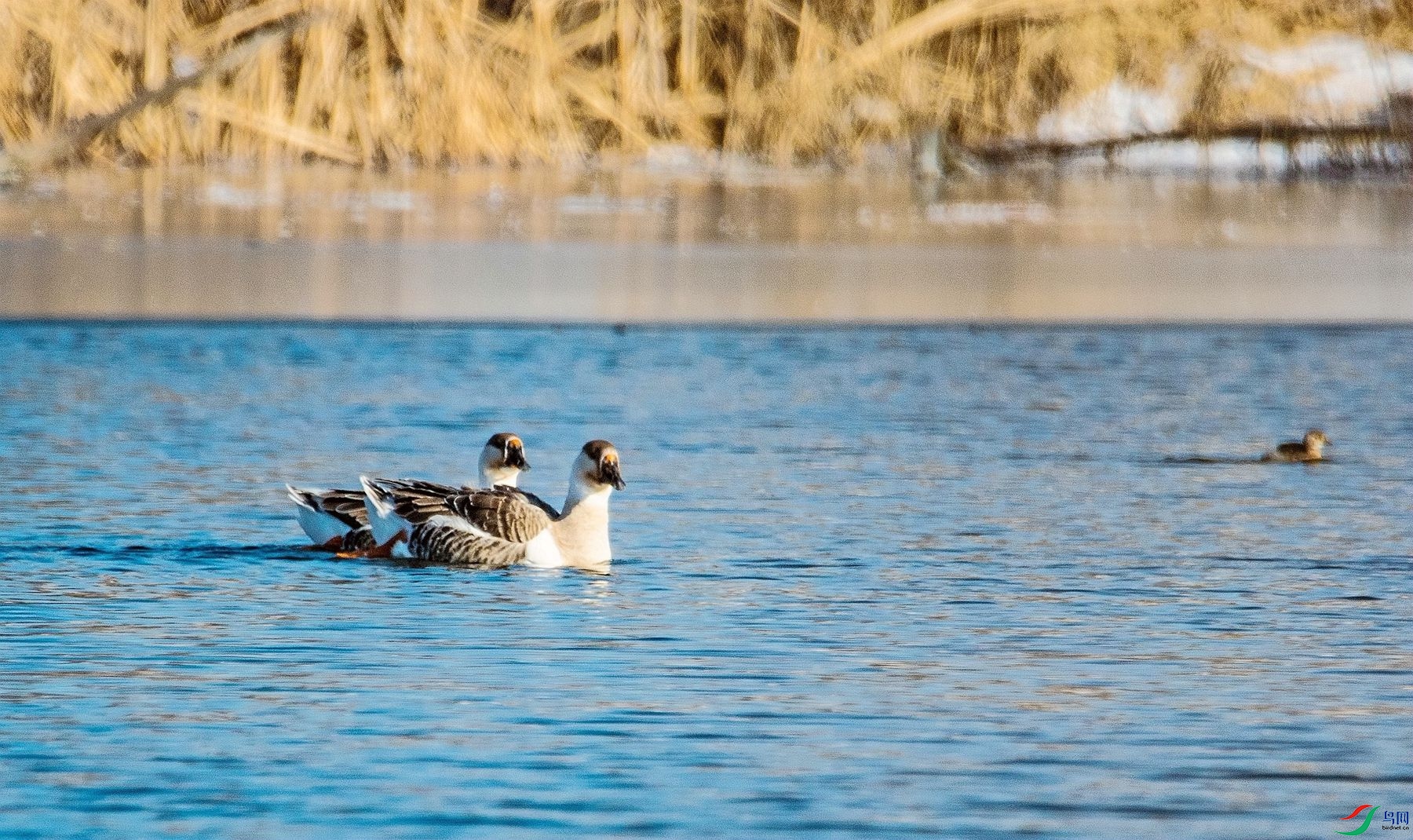 ������� 3.jpg