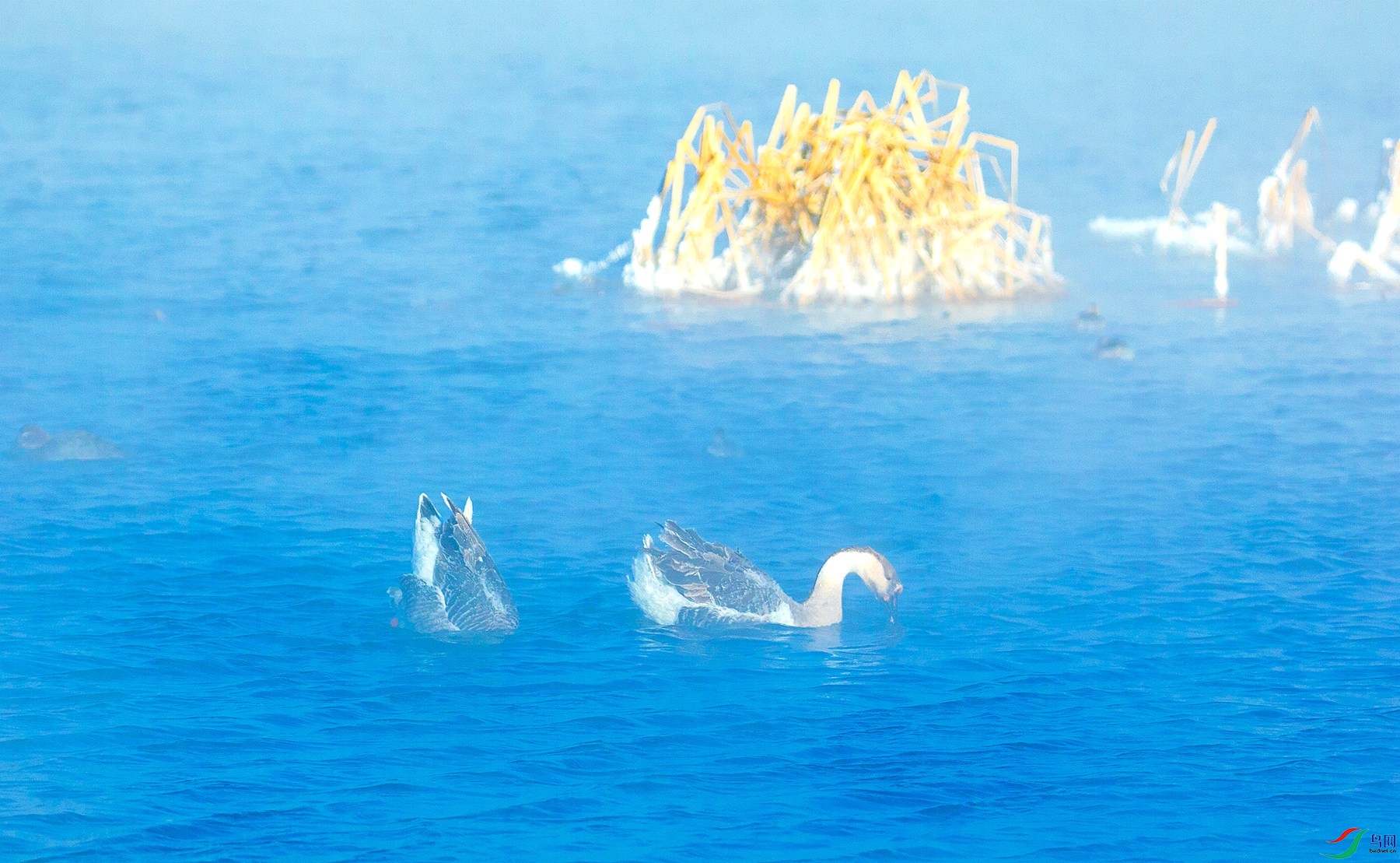 ������� 2.jpg