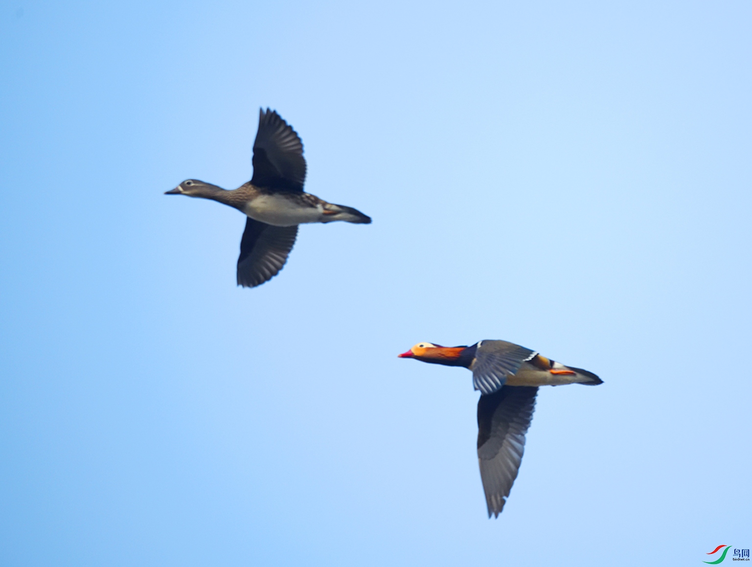 DSC_1117_00001-01-p-2.jpg