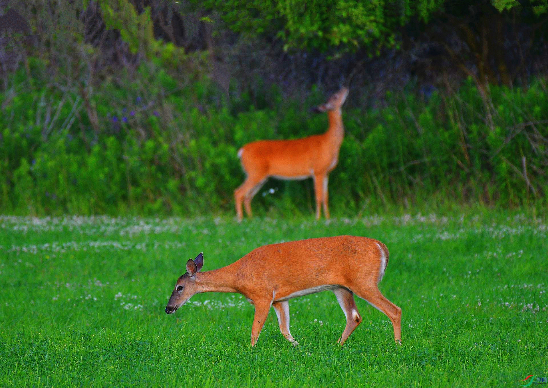 DSC_1825_����.jpg