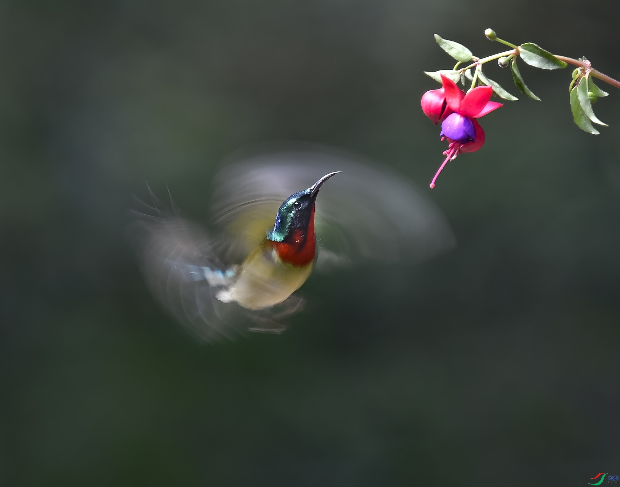 _Y211052.JPG