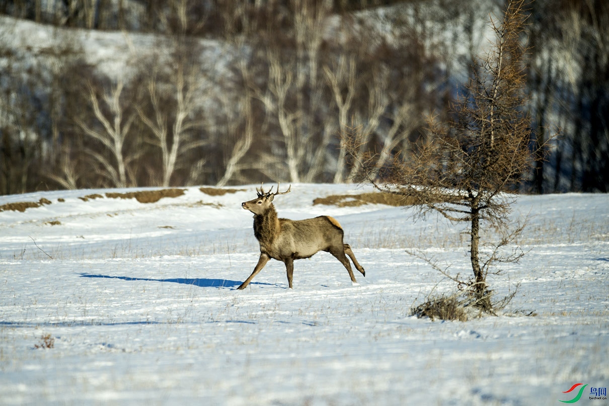 _DSC2684.jpg
