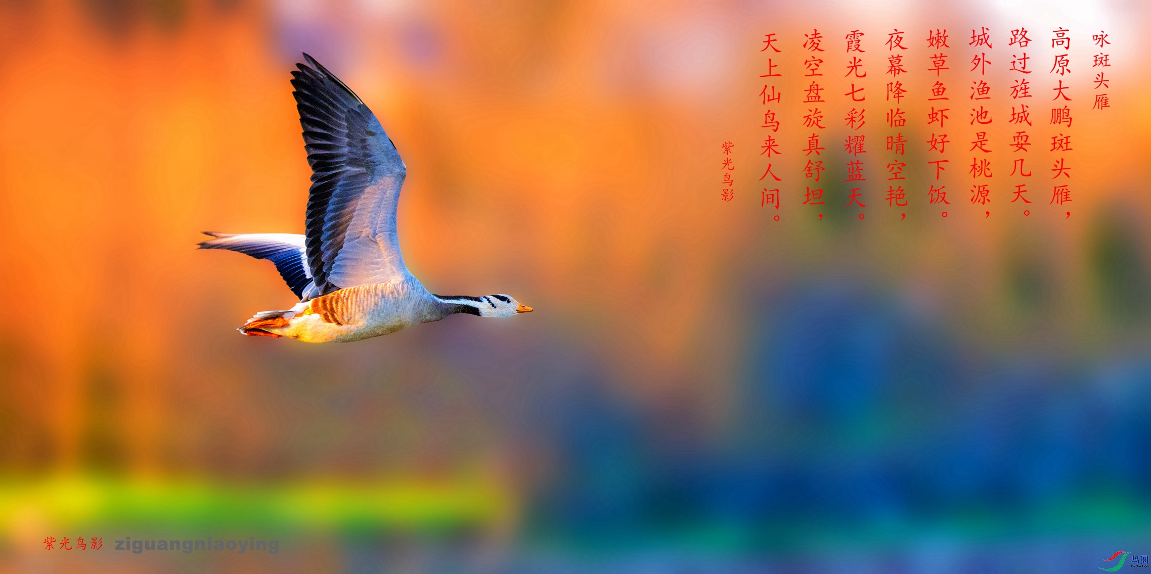 ADH_0542_����_����_����.jpg
