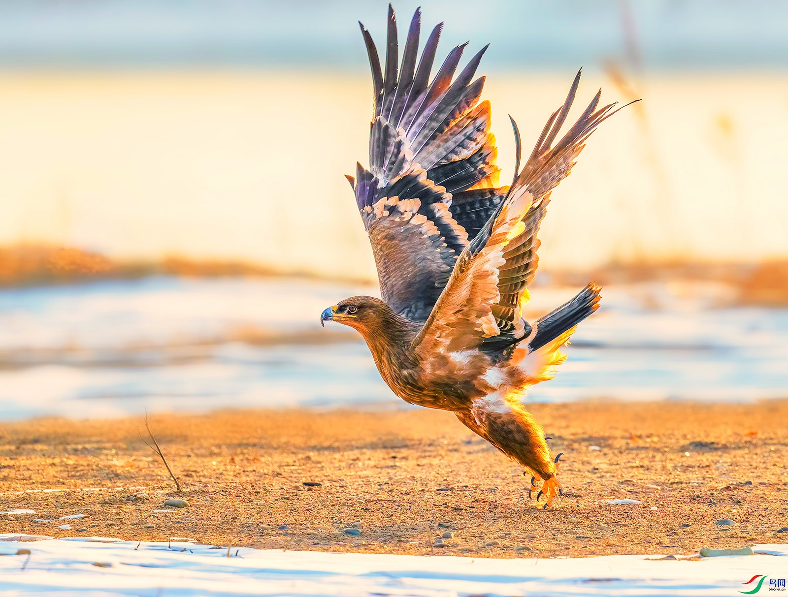 AC0I6491 ����.jpg